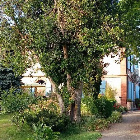 Comme Chez Vous 